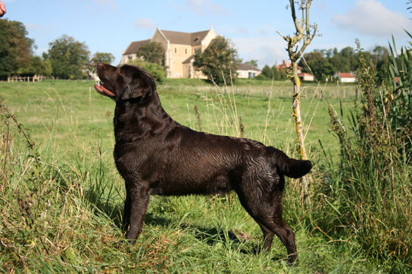 Valentine de la Tour Farmina