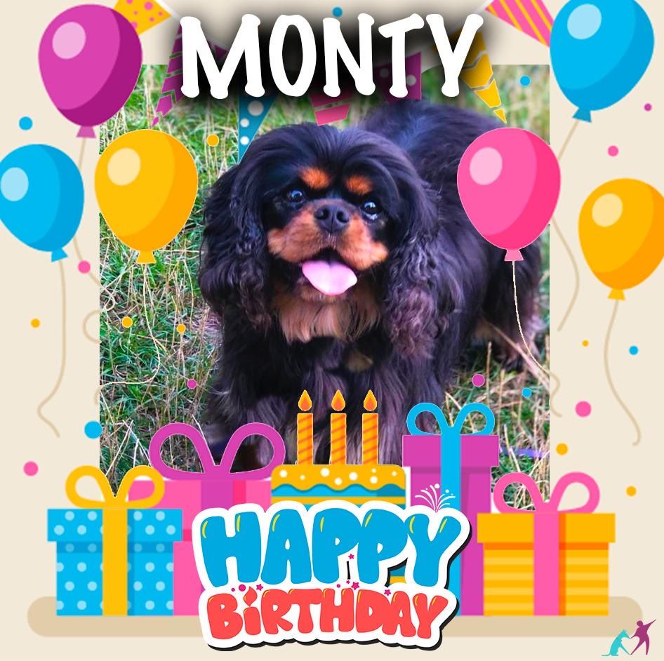 du Parc de Lormoy - Monty 3ans